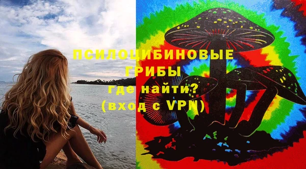 mdpv Краснотурьинск