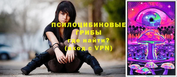 mdpv Краснотурьинск