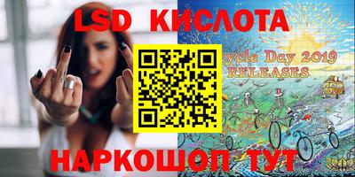 PSILOCYBIN Можга