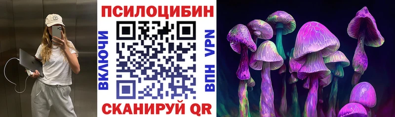 Псилоцибиновые грибы мицелий  ОМГ ОМГ рабочий сайт  Киреевск  цена наркотик 
