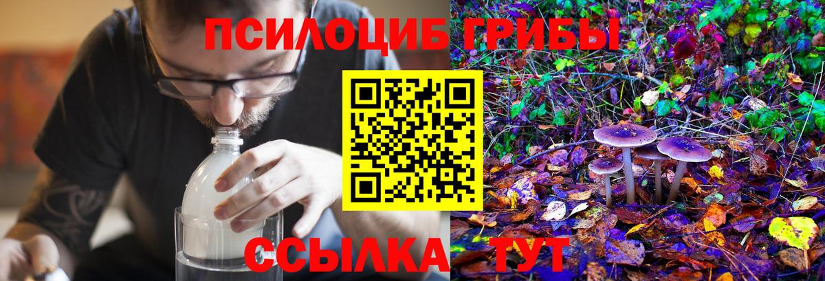 Псилоцибиновые грибы MAGIC MUSHROOMS Киреевск