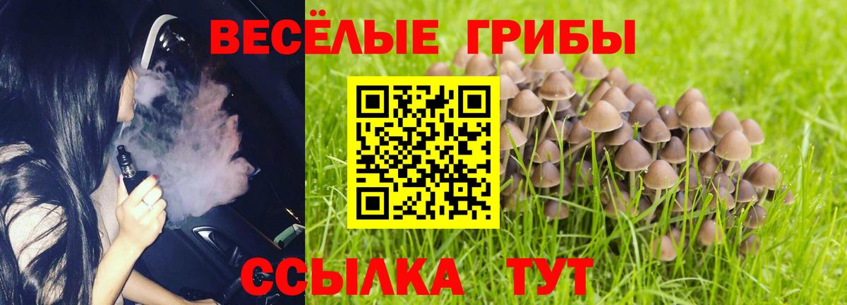 Псилоцибиновые грибы MAGIC MUSHROOMS  Вход с VPN  Псилоцибиновые грибы Psilocybe  Киреевск 